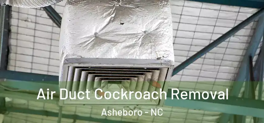 Air Duct Cockroach Removal Asheboro - NC