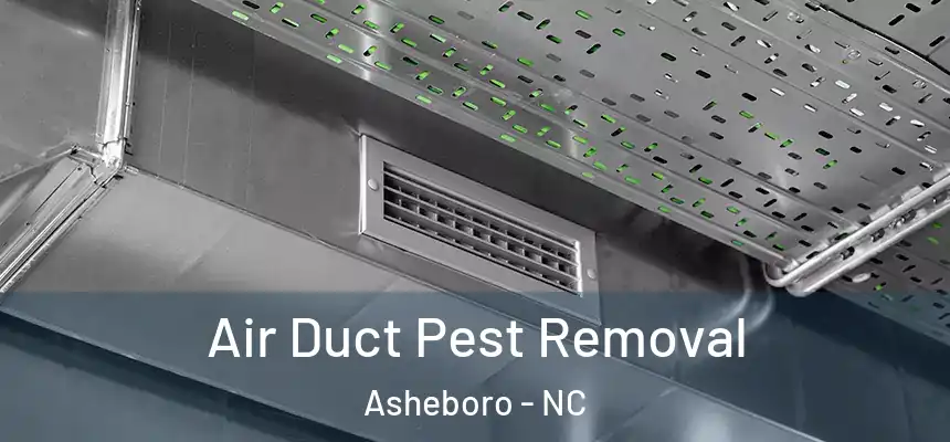  Air Duct Pest Removal Asheboro - NC