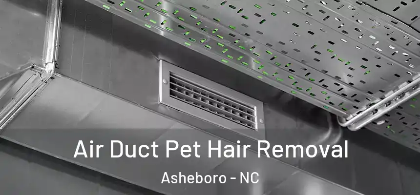  Air Duct Pet Hair Removal Asheboro - NC