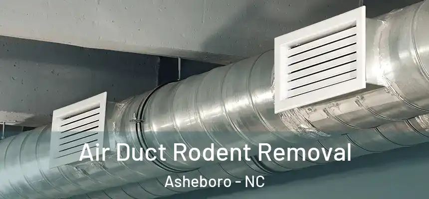  Air Duct Rodent Removal Asheboro - NC
