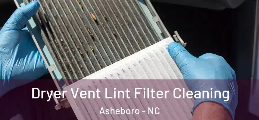  Dryer Vent Lint Filter Cleaning Asheboro - NC