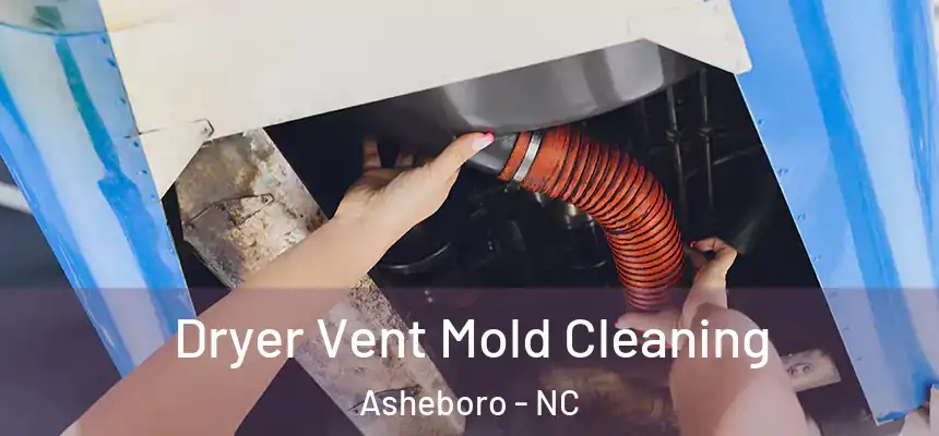  Dryer Vent Mold Cleaning Asheboro - NC