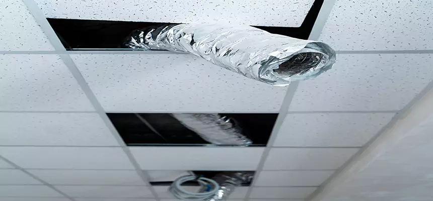 Affordable HVAC Sanitizing After Pest Removal in Asheboro