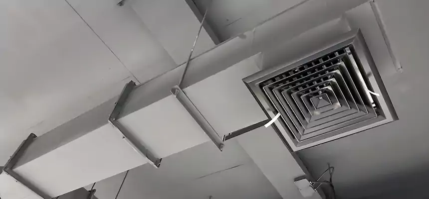 Our Rodent Droppings In Vents Services in Asheboro, NC