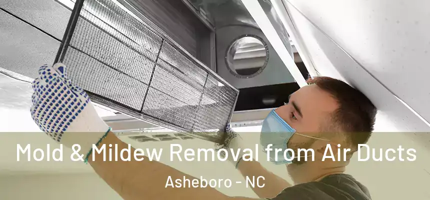  Mold & Mildew Removal from Air Ducts Asheboro - NC