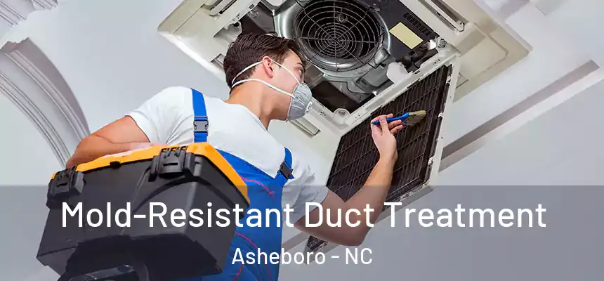  Mold-Resistant Duct Treatment Asheboro - NC