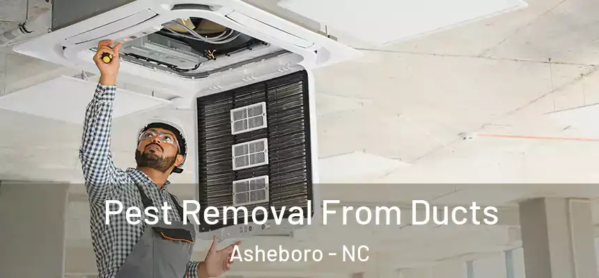  Pest Removal From Ducts Asheboro - NC