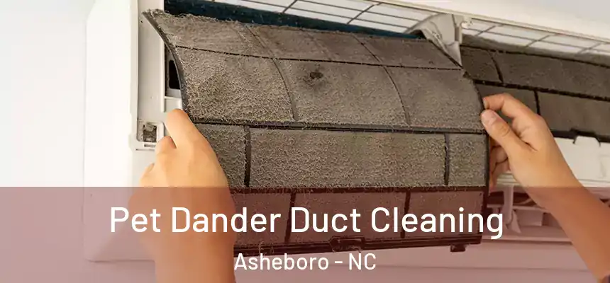  Pet Dander Duct Cleaning Asheboro - NC