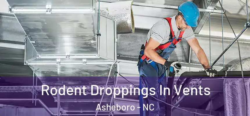  Rodent Droppings In Vents Asheboro - NC
