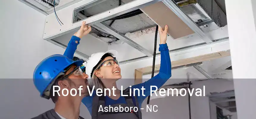  Roof Vent Lint Removal Asheboro - NC