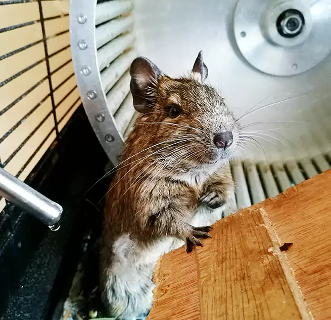 Why Homeowners & Businesses Trust Us Asheboro, NC