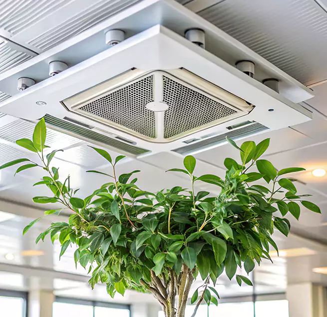 Why Homeowners & Businesses Trust Us in Asheboro, NC?